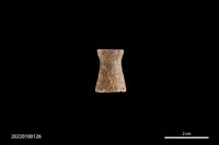 藏品(耳栓)的圖片